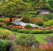 Landscaping Service, Toledo